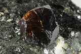 Fluorescent Zircon Crystal in Biotite Schist - Norway #175848-2